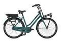 HEAVYDUTYNL C7+ HMB L54 Thyme green H7
