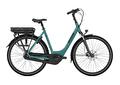 PARIS C7+ HMB DISC L53 Thyme green S7 (Mat)